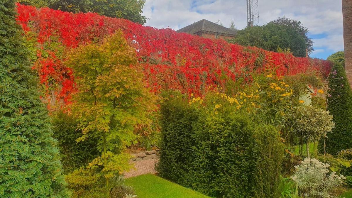 Appartement Clairville - Garden Terrace,